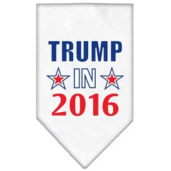 Trump In 2016 Election Screenprint Bandanas Apparel