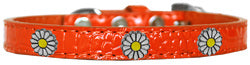 White Daisy Widget Croc Dog Collar Orange Size 16
